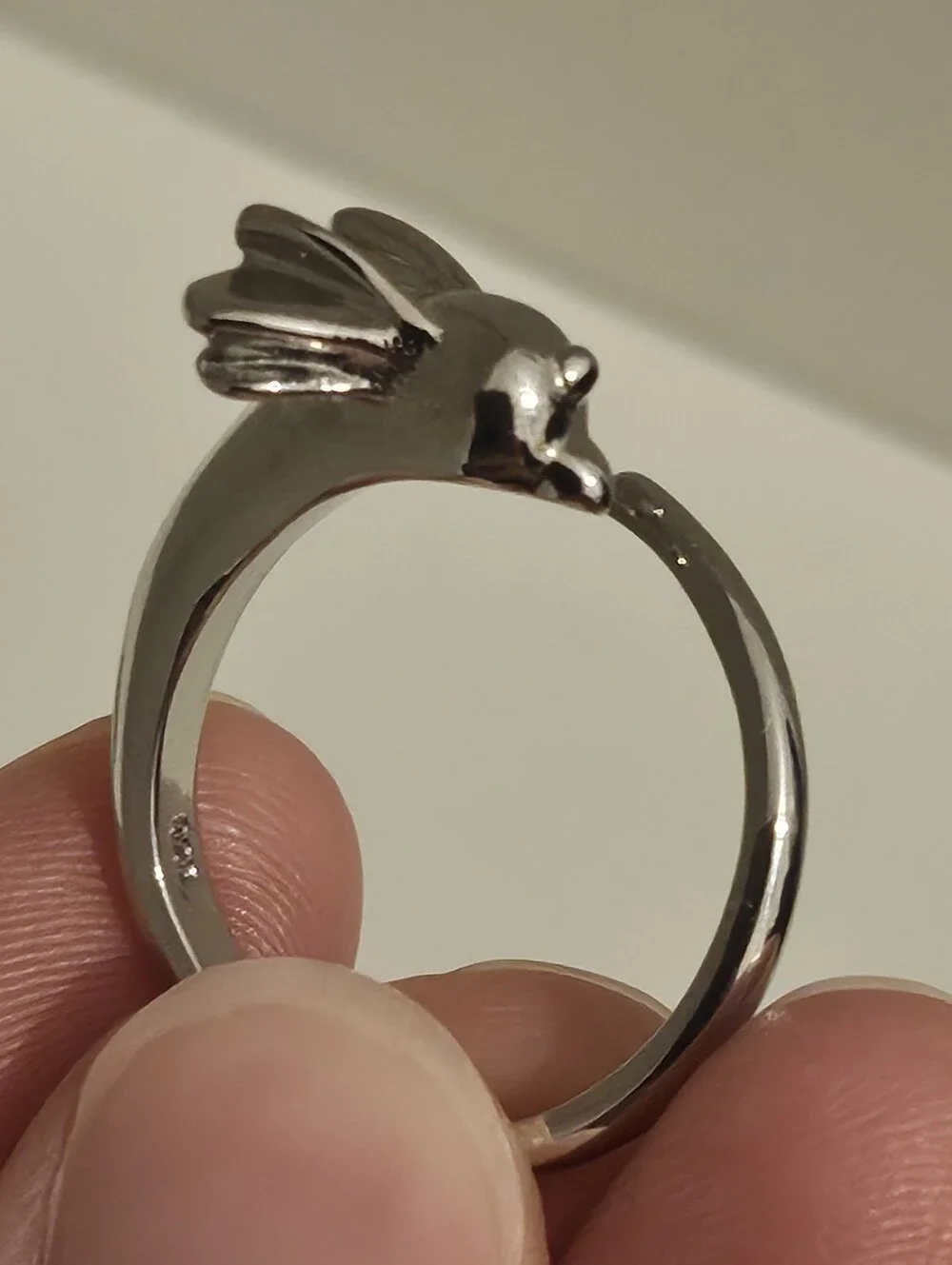 Pokemon polished silver